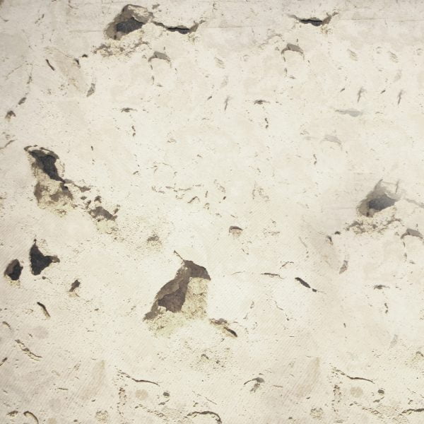 CORALINA CLÁSICA